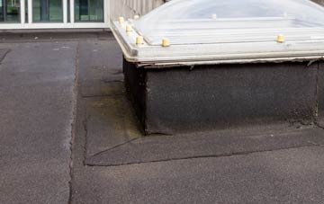 disadvantages of Martyrs Green flat roofs