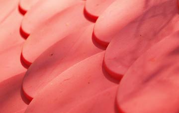 Martyrs Green plastic roof costs